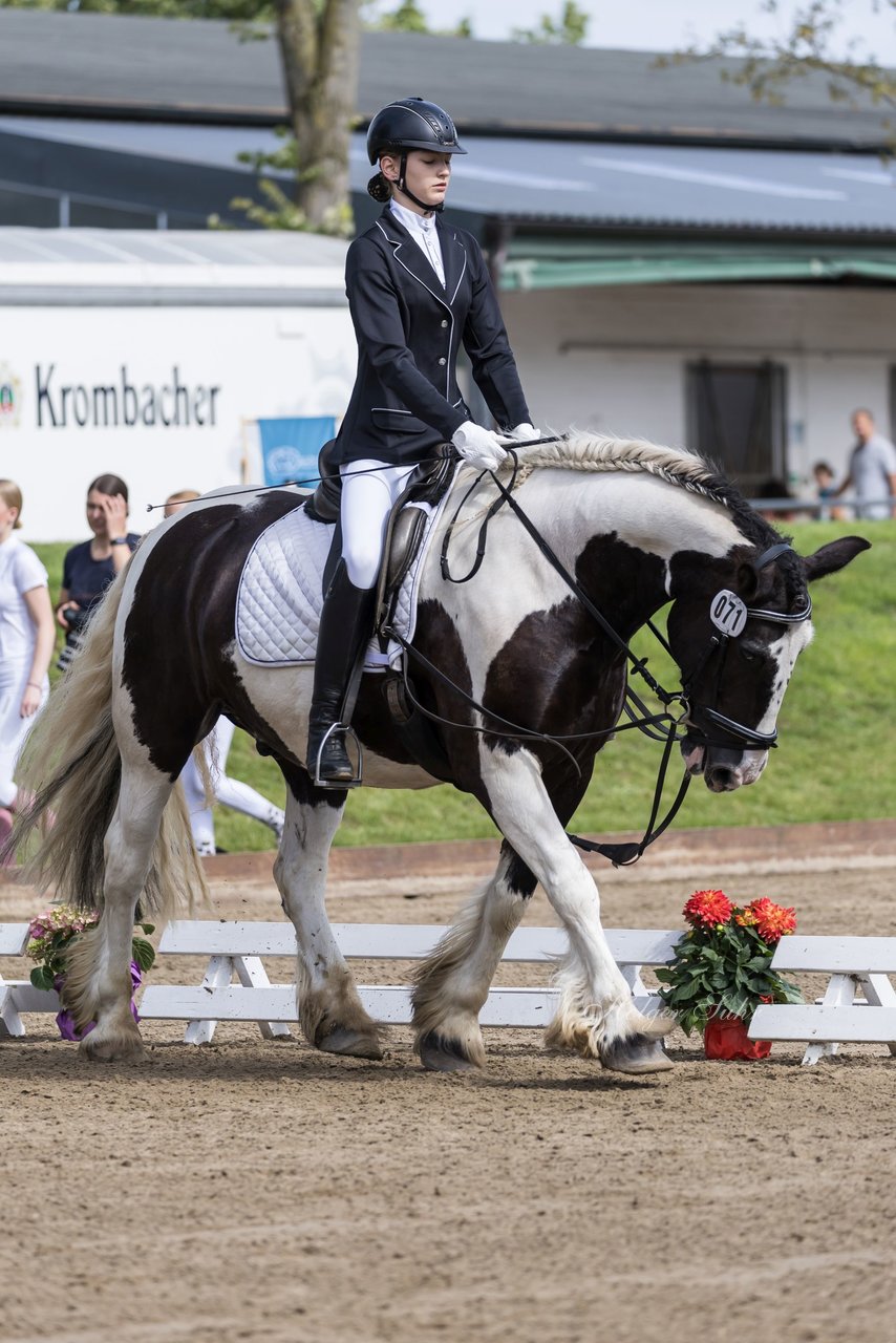 Bild 69 - Pony Akademie Turnier